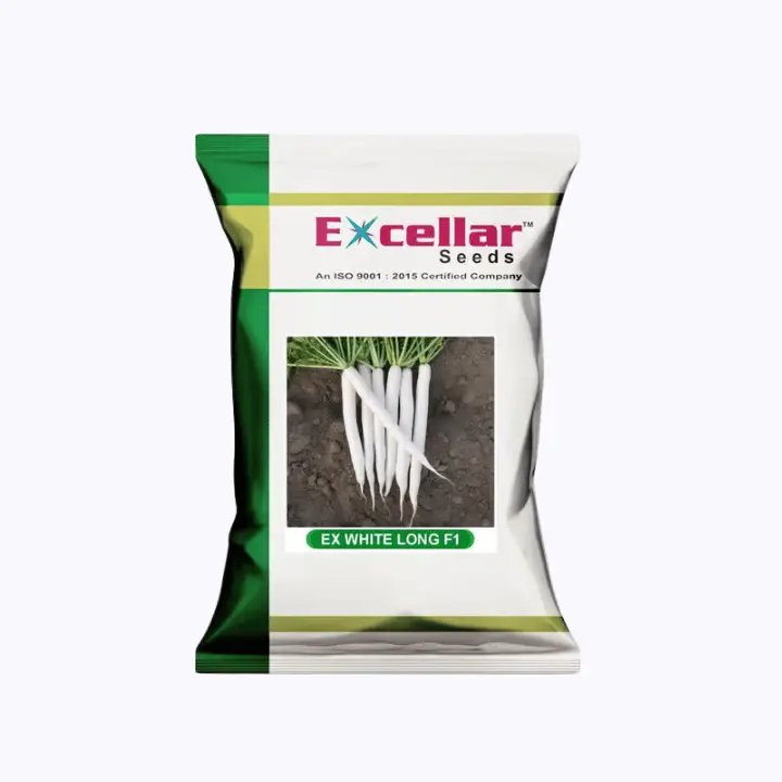 Excellar Radish EX White Long F1 Ivory White Radish – main view