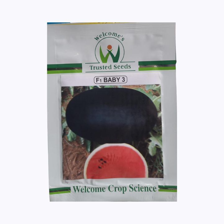 Welcome Crop F1 Baby 3 Hybrid Watermelon Seeds
