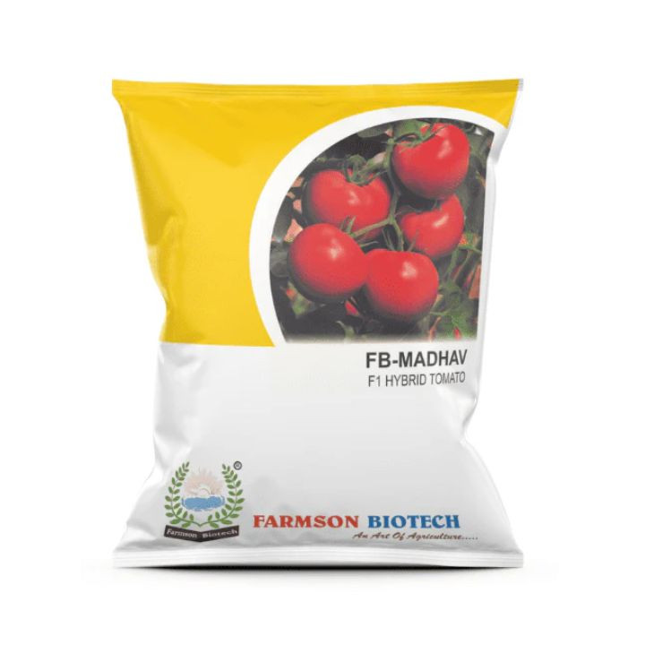 Farmson Madhav F1 Tomato Seeds