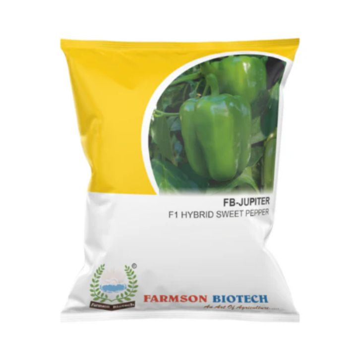 FB JUPITER F1 Hybrid Capsicum Seeds – Early High Yield Blocky Variety