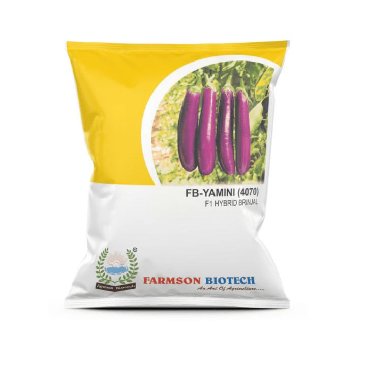 FB-YAMINI 4070 F1 Hybrid Brinjal Seeds