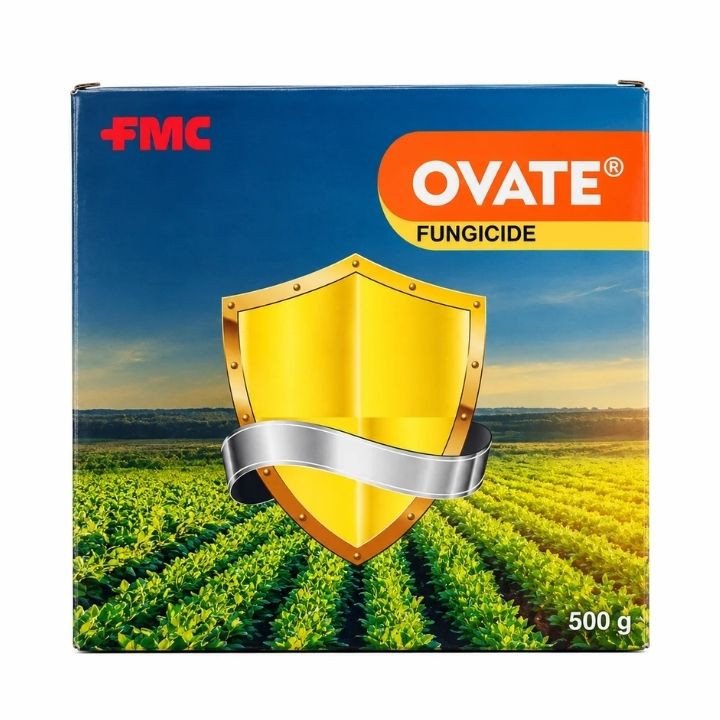 Fmc Ovate Fungicide (Chlorothalonil 75% WP)