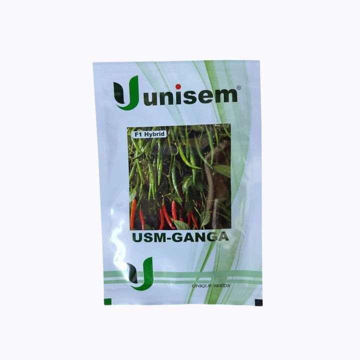 USM Ganga Red Chilli Seeds