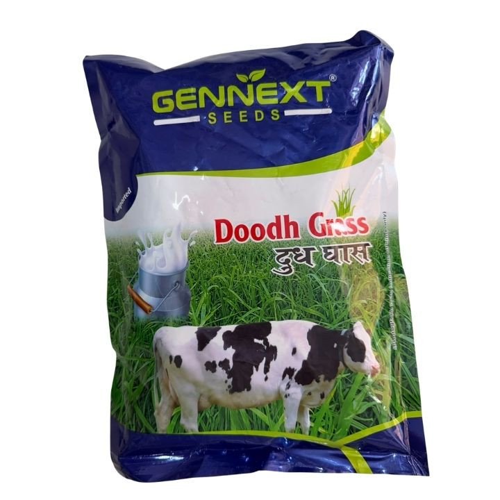 Gennext Doodh Grass Fodder Seeds