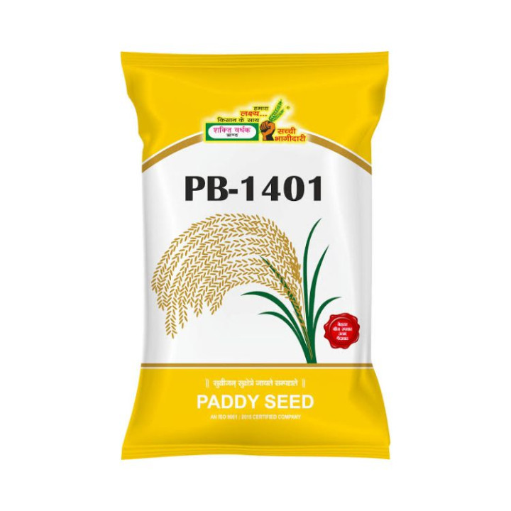 PB-1401 Paddy Seeds High Yield Basmati Variety