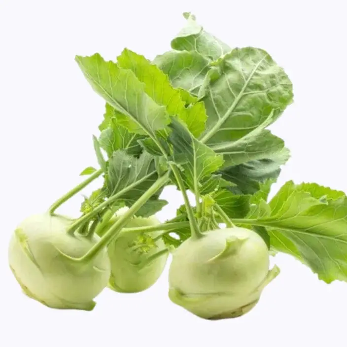 Golden Hills Knol Khol Green Seeds – main view