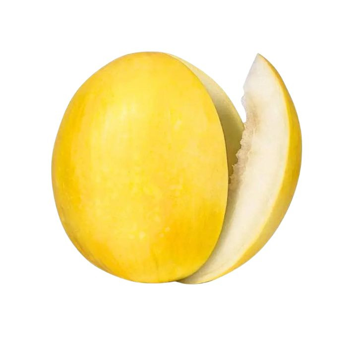 Golden Hills Yellow Muskmelon Seeds