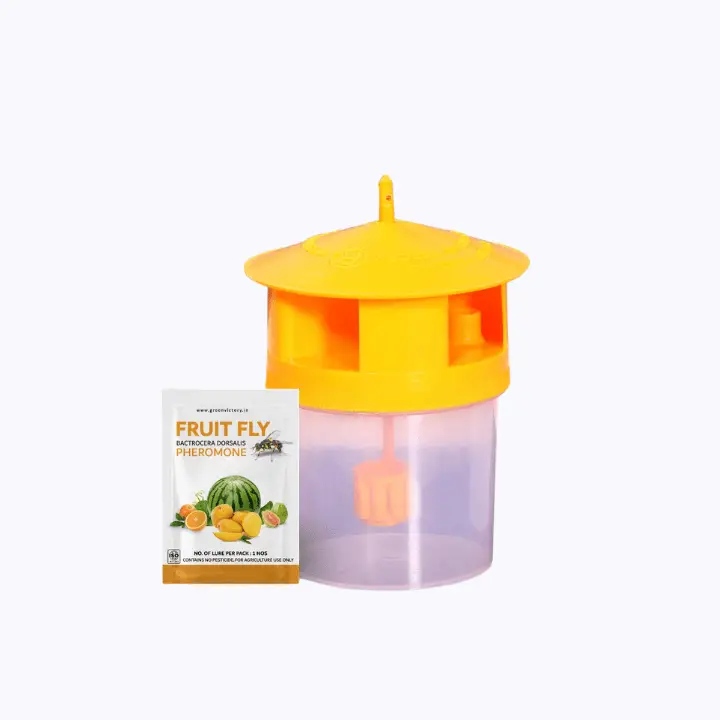 Green Victory FruitFLy Pheromone Bactrocera Dorsalis + Trap – main view