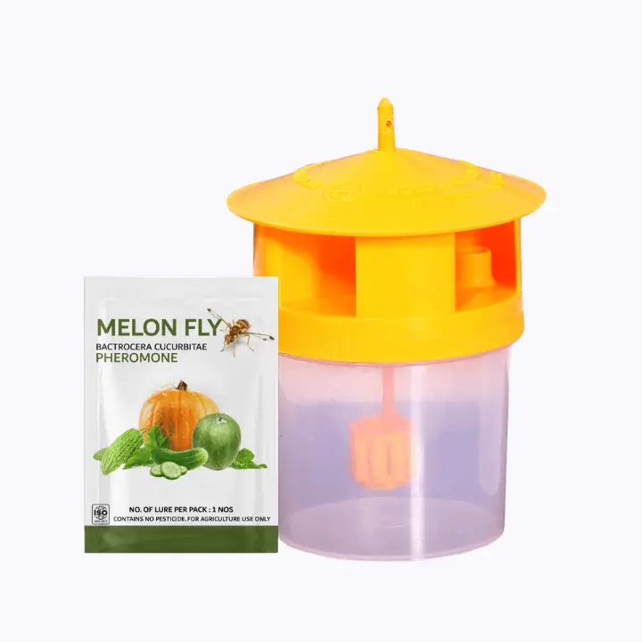 Green Victory Melon fly Pheromone Bactrocera Cucurbitae + Trap – main view