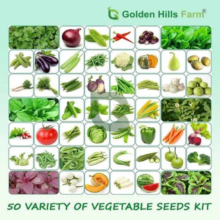 50 Varieties of Vegetable Seeds Kit