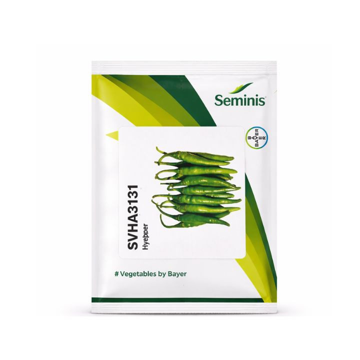 Seminis SVHA3131 Hybrid Hot Pepper Seeds