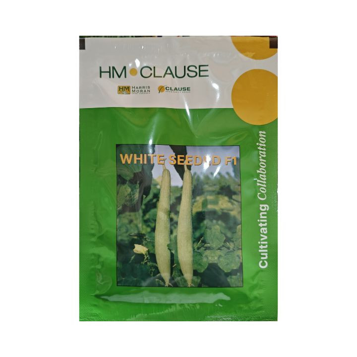 HM Clause sponge gourd white seeded F1 hybrid seeds