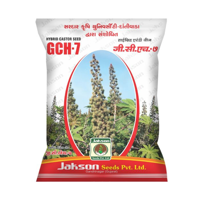 Hybrid Castor GCH-7 Truthful Seeds – High Yield Arandi Seeds