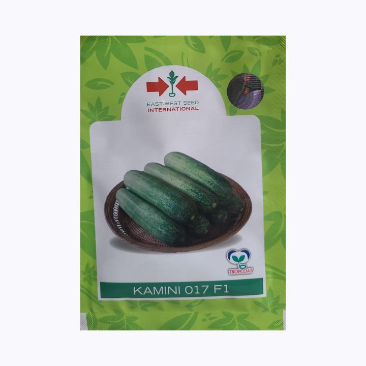 East-West Seed Kamini 017 F1 – Hybrid Cucumber Seeds