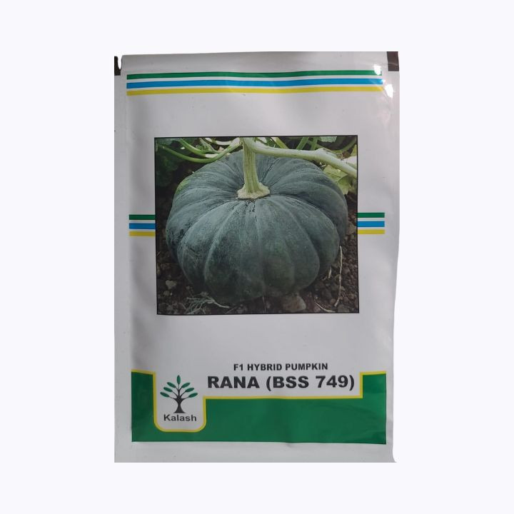 Kalash BSS 749 Rana F1 Hybrid Pumpkin Vegetable Seeds