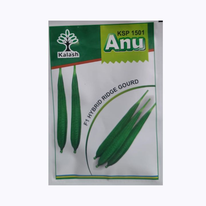 Kalash KSP 1501 Anu – F1 Hybrid Ridge Gourd Vegetable Seeds
