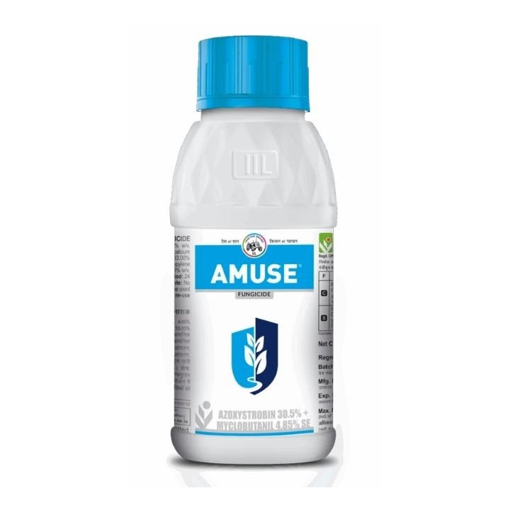 IIL AMUSE Fungicide (Azoxystrobin 30.5% + Myclobutanil 4.85% w/v SE)