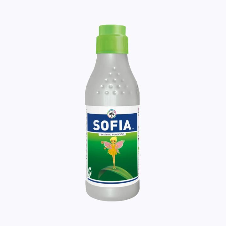 IIL Sofia – Hexaconazole 4% + Carbendazim 16% SC Fungicide