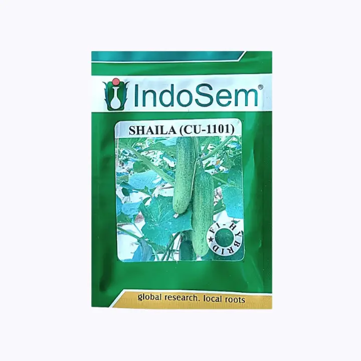 Indosem Shaila (CU-1101) Cucumber Seeds – main view