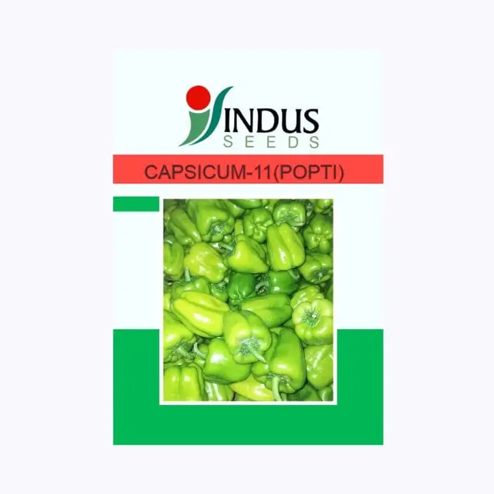Indus 11 (Popti) Capsicum Seeds – main view