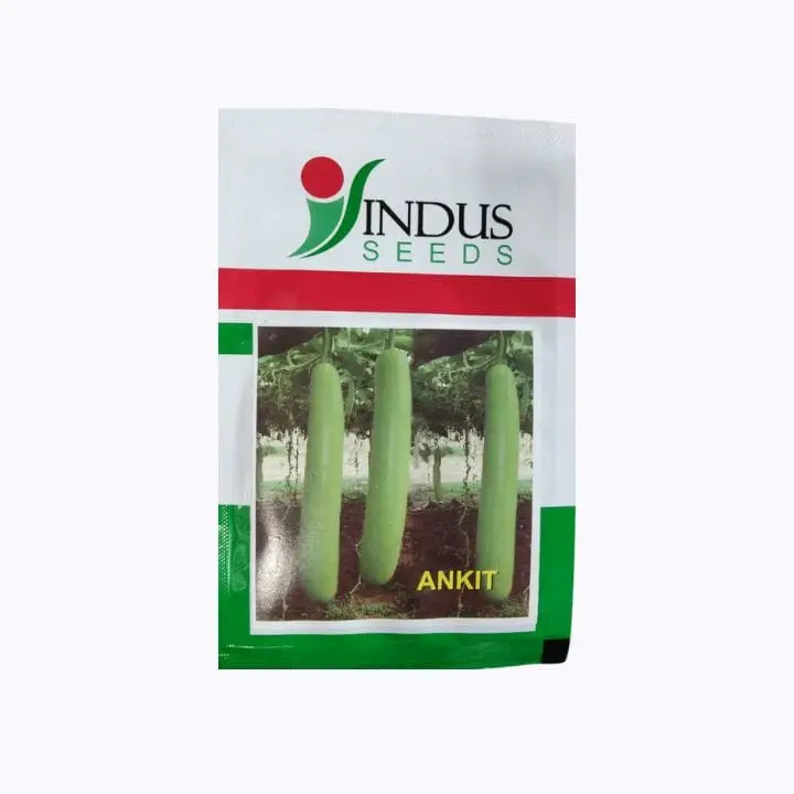 Indus Ankit Bottle Gourd Seeds – main view