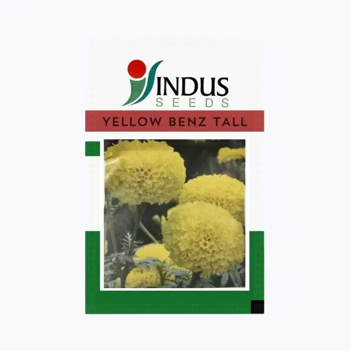 Indus Benz Tall Flower Seeds – main view