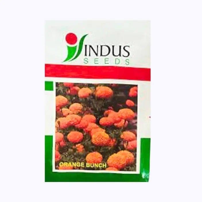 Indus Bunch Marigold Flower Seeds – main view