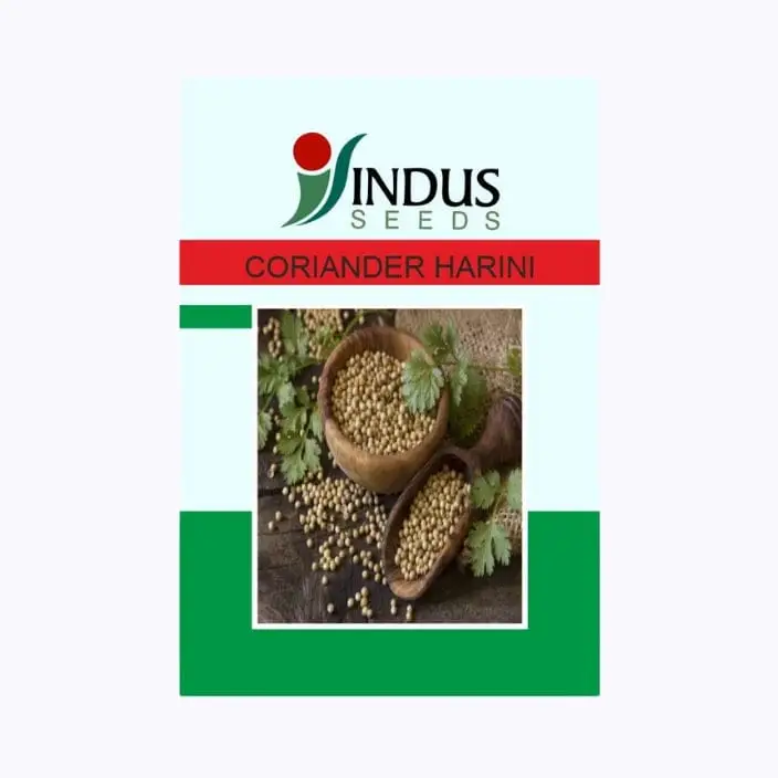Indus Harini Coriander Seeds – main view