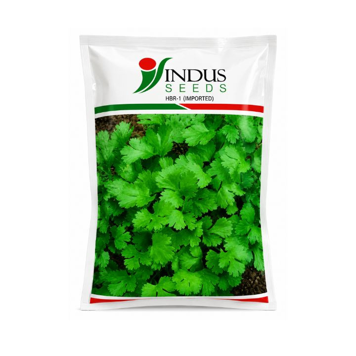 Indus Harini Coriander Seeds