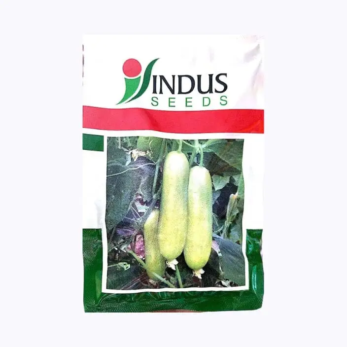 Indus Hema Cucumber Seeds – main view
