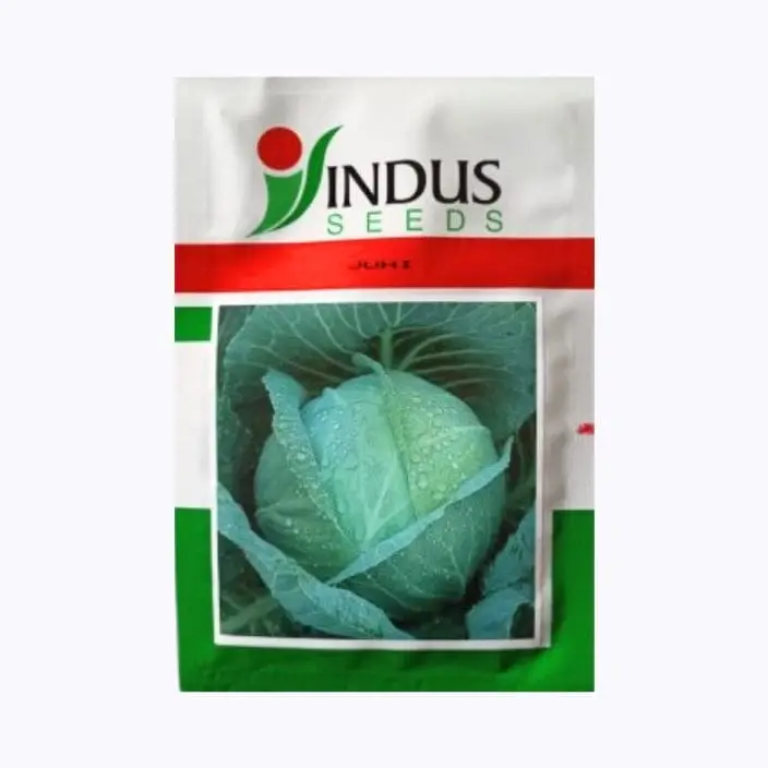Indus Juhi Cabbage Seeds – main view