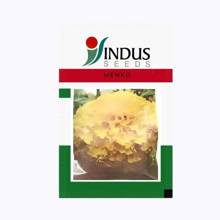 Indus Menka Marigold Flower Seeds – main view