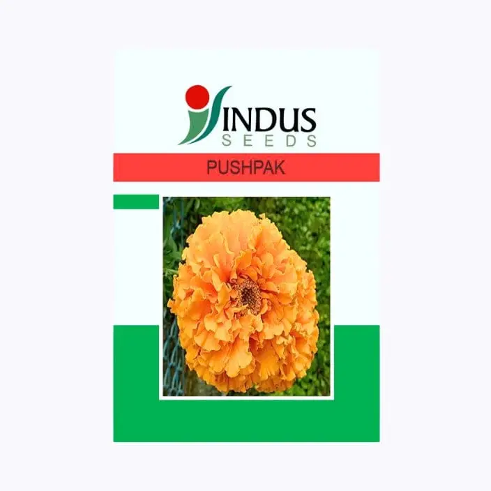 Indus Pushpak Marigold Flower Seeds – main view