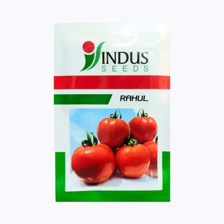 Indus Rahul Tomato Seeds – main view