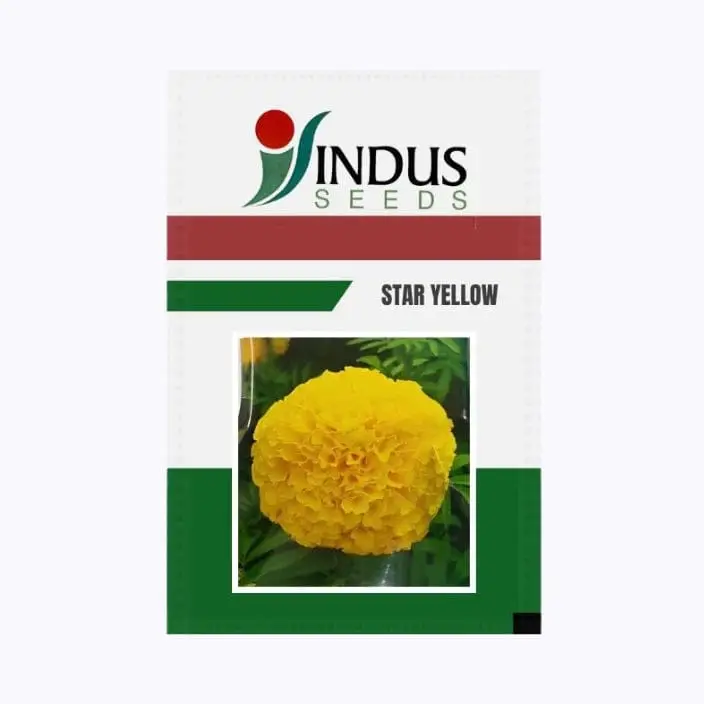 Indus Star Yellow Marigold Flower Seeds – main view