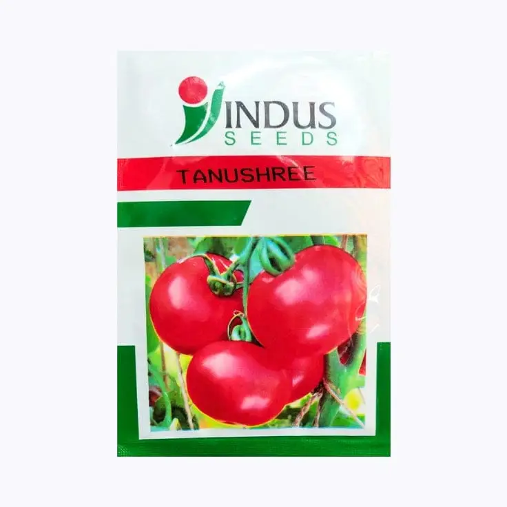 Indus Tanushree Tomato Seeds – main view