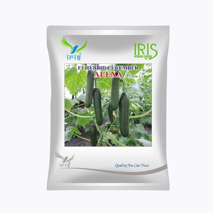Iris Alexa F1 Hybrid Cucumber Seeds