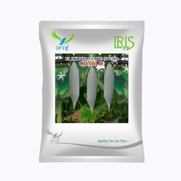 Iris Charlie F1 Hybrid Snake Gourd Seeds