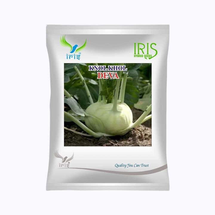 Iris Deva Knol Khol Seeds