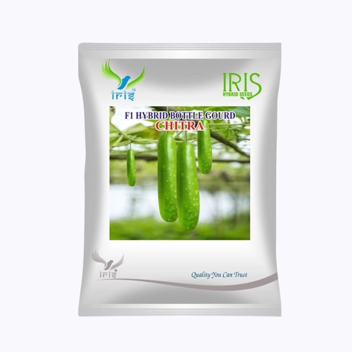 Iris F1 Hybrid Chitra Bottle Gourd Seeds