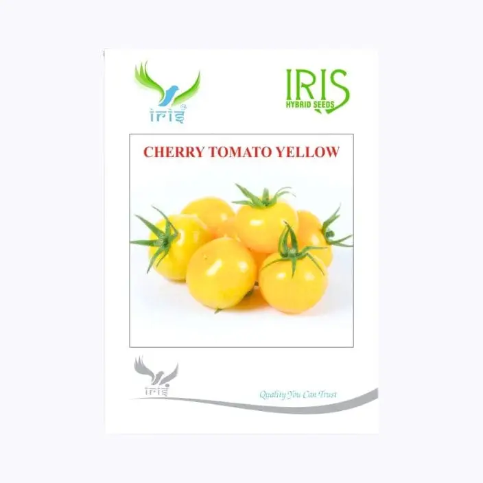 Iris Imported Cherry Tomato Yellow Seeds