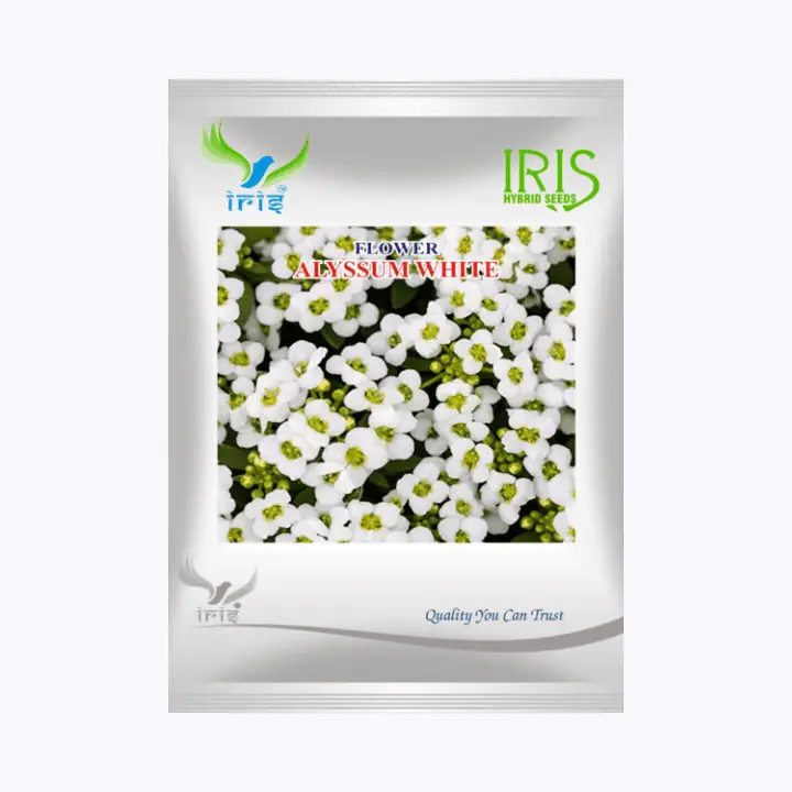 Iris Imported OP Alyssum White Seeds