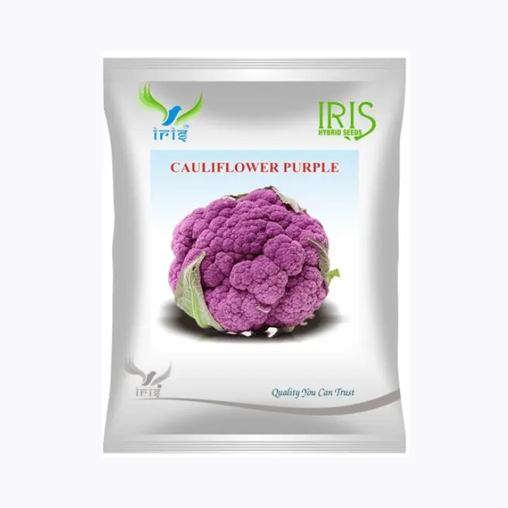 Iris Imported OP Cauliflower Purple Seeds