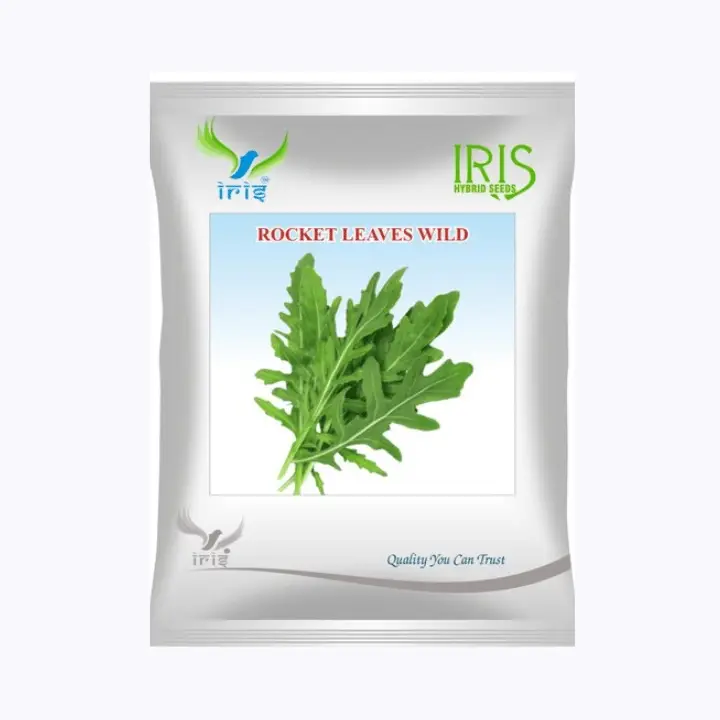 Iris Imported OP Rocket Leaves Wild Seeds
