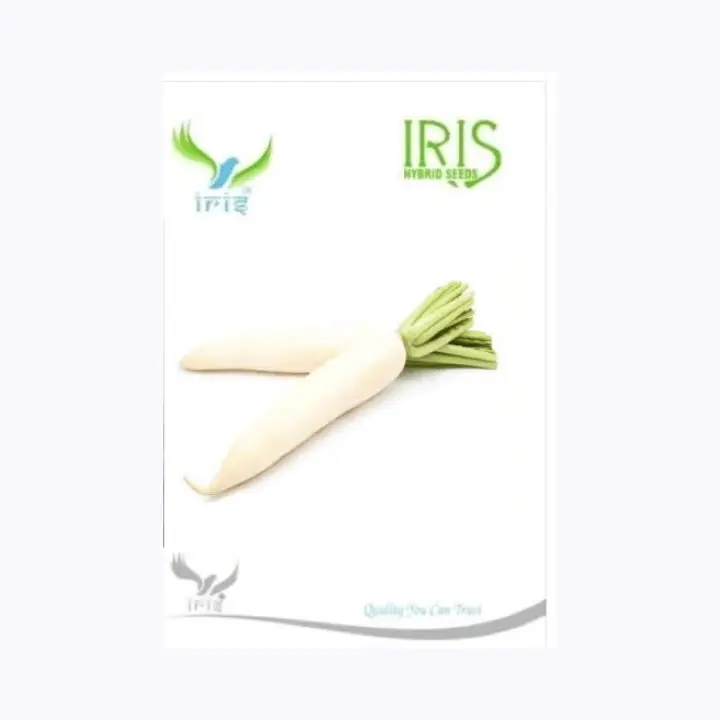 Iris Imported Radish Seeds