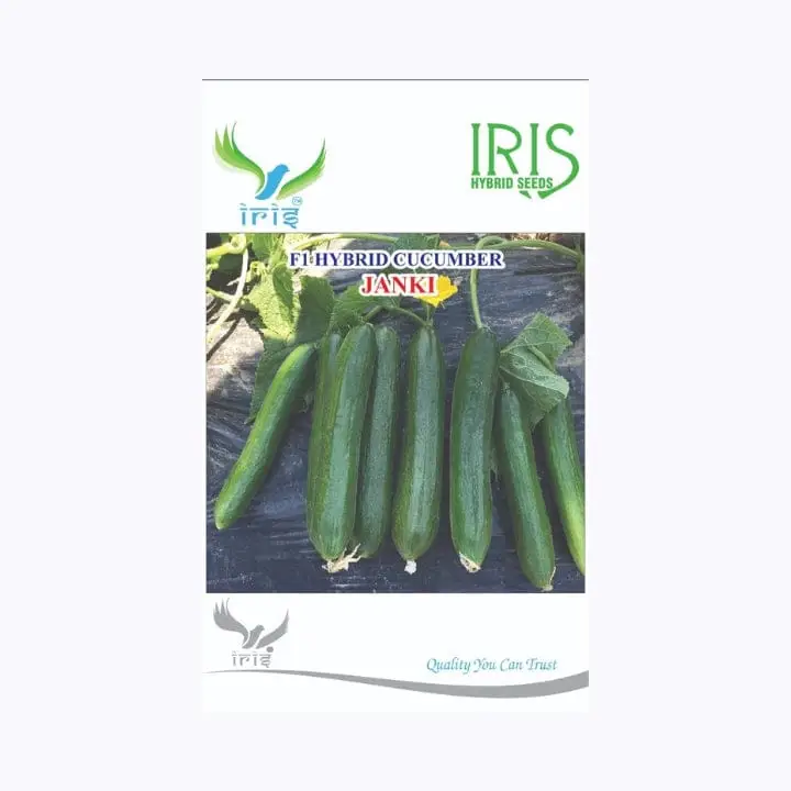 Iris Jank i(Beit Aplha Type) Cucumber Seeds – main view