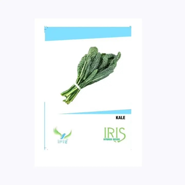 Iris Kale (Leafy Cabbage) Seeds – main view