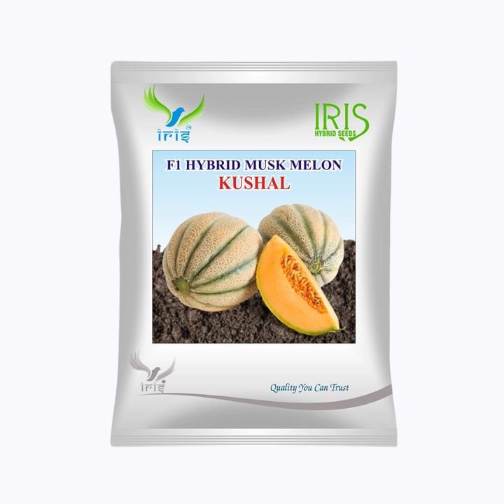Iris Kushal F1 Hybrid Muskmelon Seeds