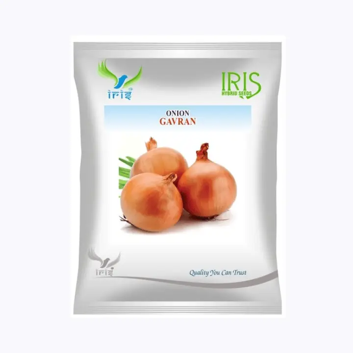 Iris OP Onion Gavaran – main view