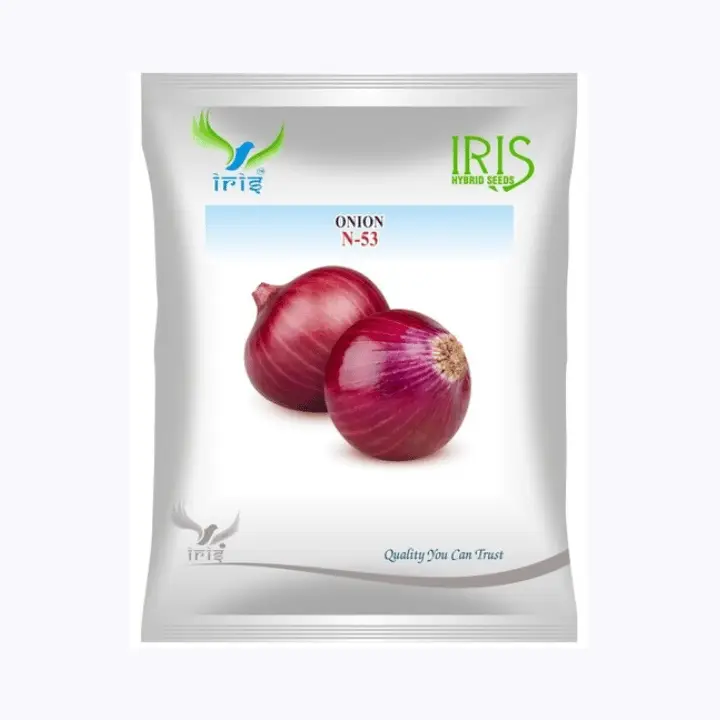 Iris OP Onion N-53 Seeds – main view